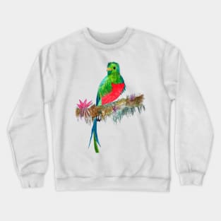 Quetzal Watercolor Crewneck Sweatshirt